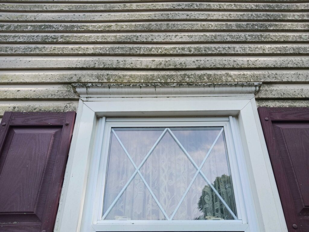 Dirty window before cleaning